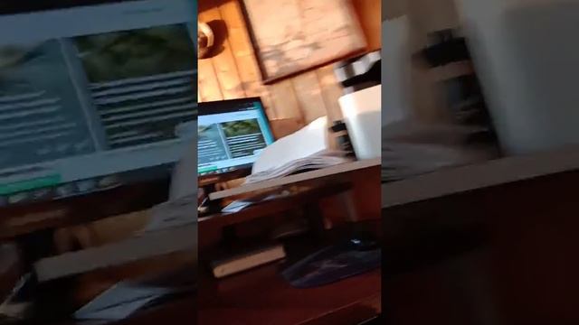 татарская кухня#3 смотреть онлайн
