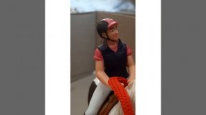 Типы лошадей шляйх🌚👍