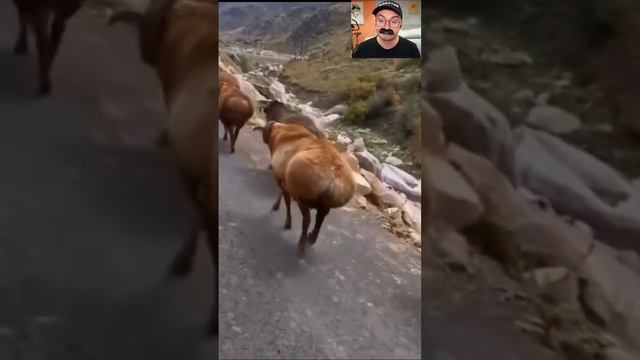 Найди отличия смотреть онлайн