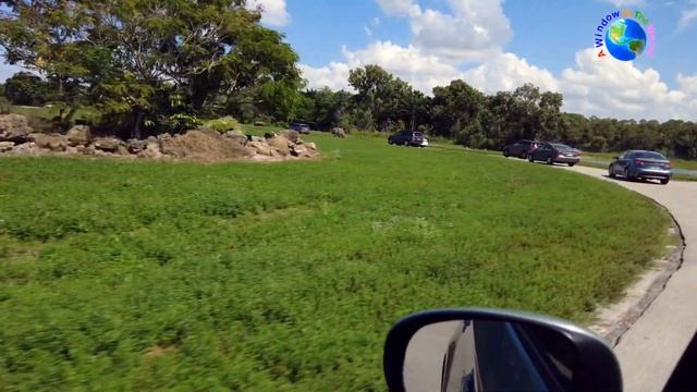 Lion Country Safari Park ~ Amusement Park ~ Part 1 смотреть онлайн