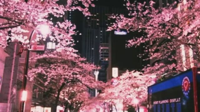 [FREE] Pierre Bourne Type Beat - "Chrome Heart" (Prod. AyoSky!) смотреть онлайн