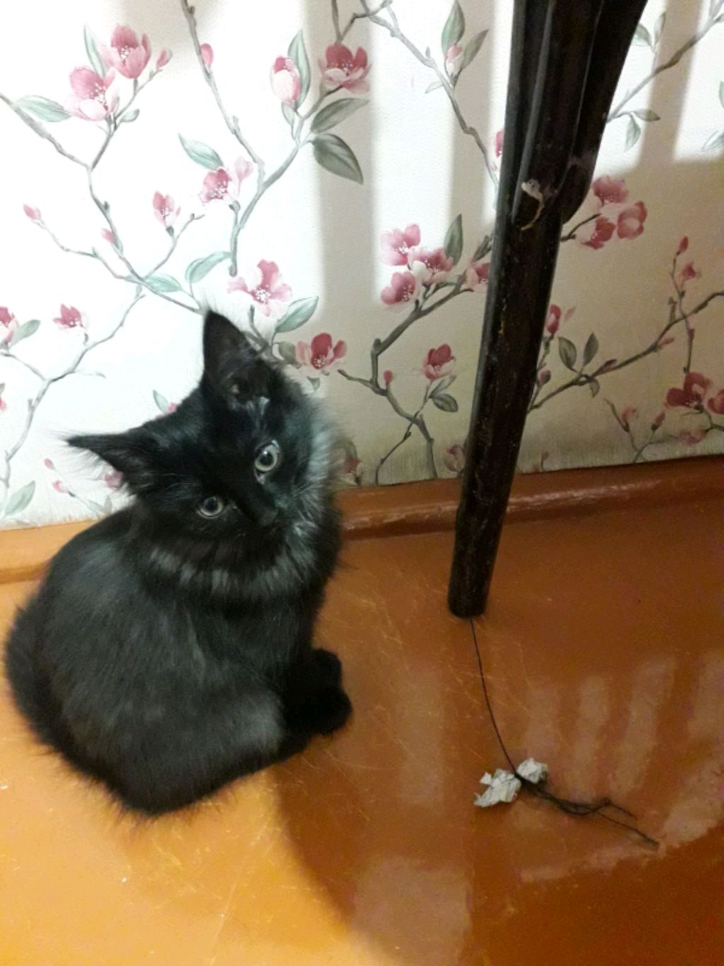 как готовить кушать