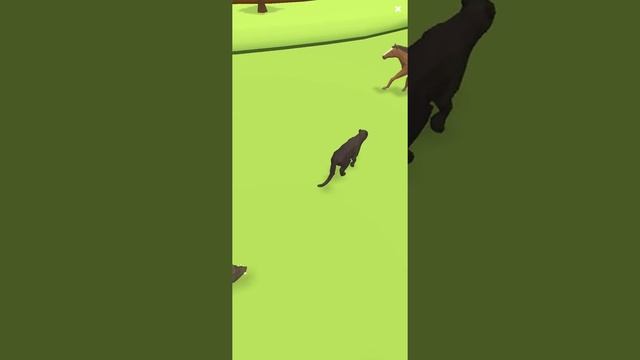Merge Safari: Misturei animais! Descobri a Coruja Lanterna Verde?!? смотреть онлайн