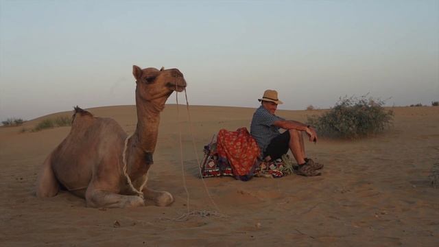 JAISALMER CAMEL SAFARI смотреть онлайн
