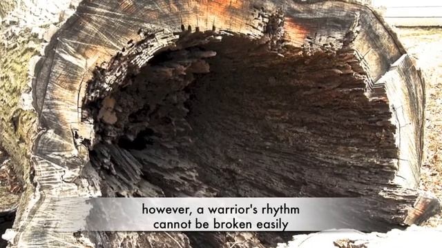 A Word. A Photo. A Story. - Warrior (Music Only) смотреть онлайн