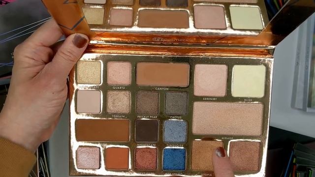 My EYESHADOW PALETTE Collection Part 3- Affordable & Dupe Brands смотреть онлайн