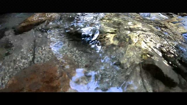 近所の山でヤマメが釣れました смотреть онлайн