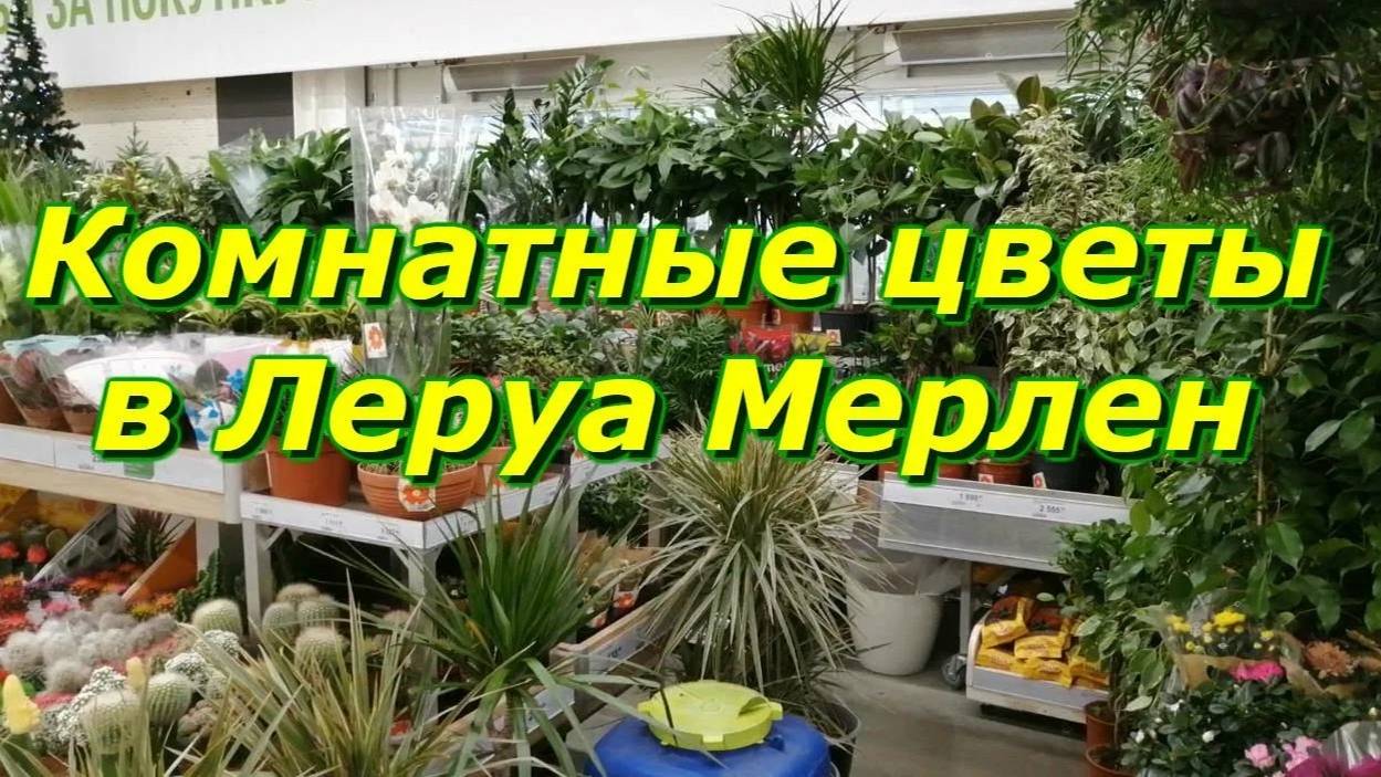 Леруа Мерлен - Обзор цветов смотреть онлайн