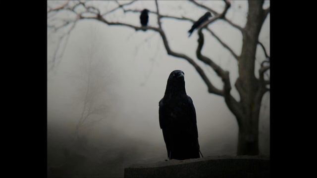 KATATONIA ( SWEDEN)- BRAVE(1996) смотреть онлайн