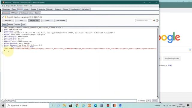 Ethical Hacking Tutorial : How to Use Burp Suite #Day 1 | What is Proxy Server | смотреть онлайн