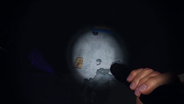 Brother's First Time Ghost Hunting, He Chose To Go In VR смотреть онлайн