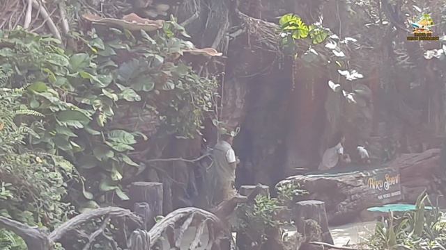 Thailand safari World ll Thailand Bangkok ll Thailand park ll Bird Show ll TRAVEL DC. смотреть онлайн