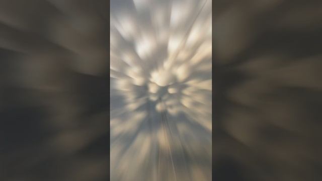 Одно из редких природных явлений #shorts #meme #masterpiece #природа