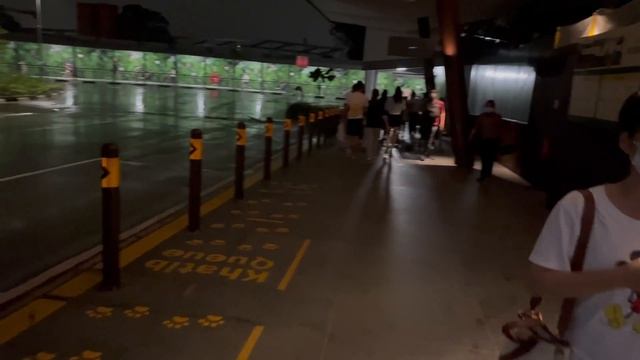 Night Safari in Singapore INCREDIBLE Experience | Singapore Zoo | Vlog 2022 смотреть онлайн