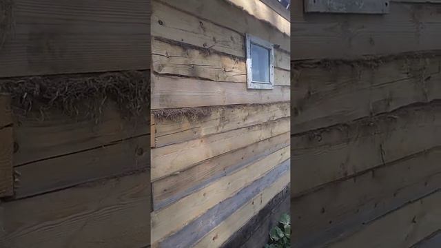 Баня. продолжение. смотреть онлайн