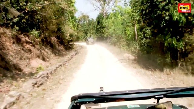 PENCH TO KANHA SAFARI TOUR | AMAZING FOR WILDLIFE LOVERS | MUST VISIT | DEKHO INCREDIBLE INDIA смотреть онлайн