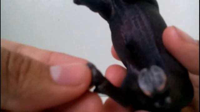 Schleich Black Bull Review смотреть онлайн