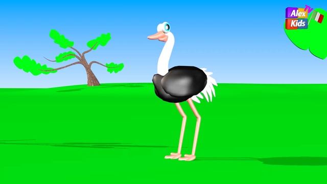 Zoo Safari - AlexKidsTV