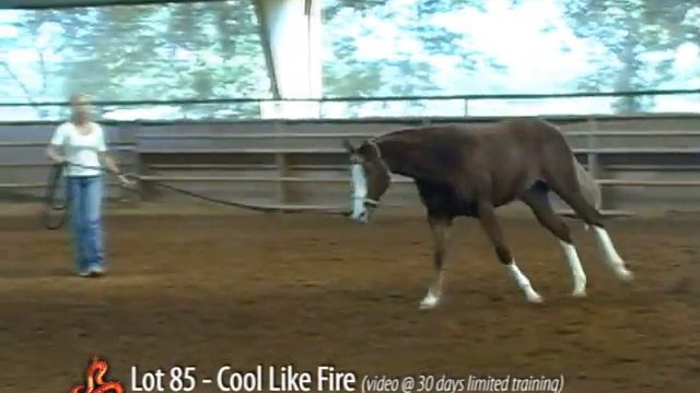 World Salebration - Lot 85 - Cool Like Fire смотреть онлайн