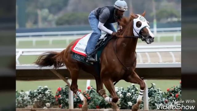 ||California Chrome||music Video
