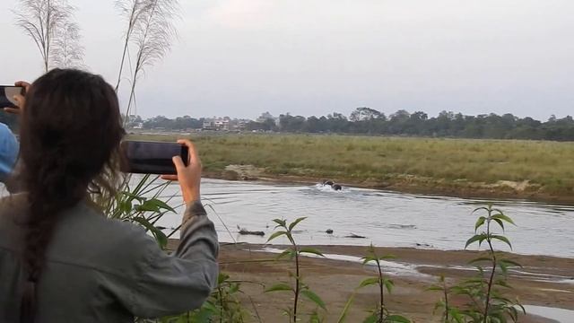 Rhino Battle смотреть онлайн