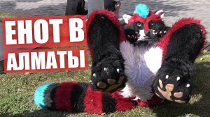 Реакция ЛЮДЕЙ на ФУРСЬЮТЫ.  Прогулка по центру Алматы