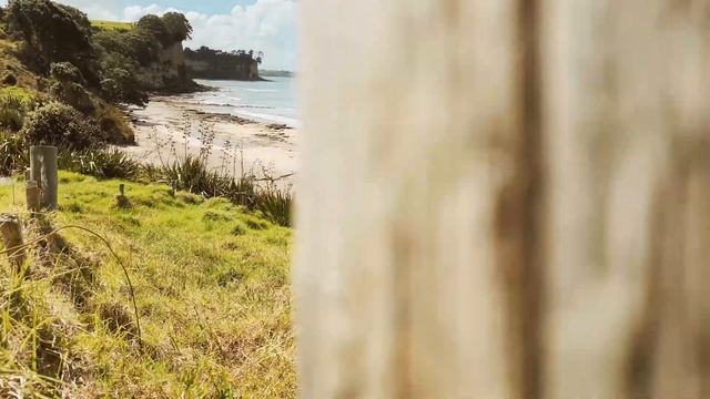 Travel New Zealand - Okura River - iphone 11 cinematic video 4K #newzealand #auckland смотреть онлайн