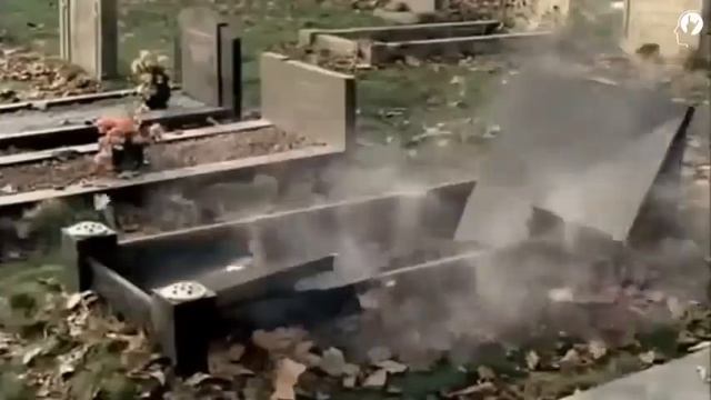 От рождения до могилы....