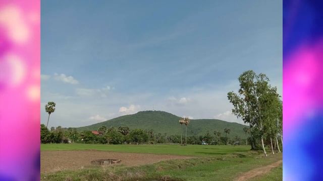 vivo Y15 Review កាមេរ៉ាក្រោយបីគ្រាប់ + ថ្ម 5000mAh смотреть онлайн