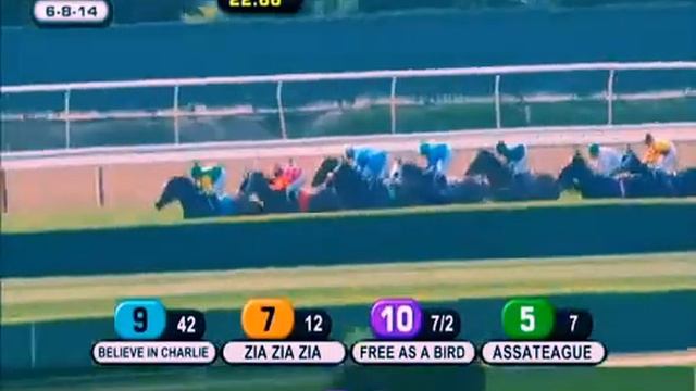 HD Free as a Bird 2014 Intercontinental kentucky derby california chrome смотреть онлайн