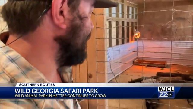Wild Georgia Safari Park смотреть онлайн