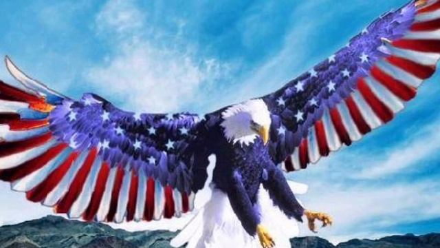 The Land of the Free and the Home of the Brave смотреть онлайн