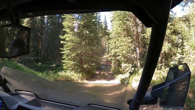 Grand Teton Family Safari - Jackson Hole, Wyoming смотреть онлайн