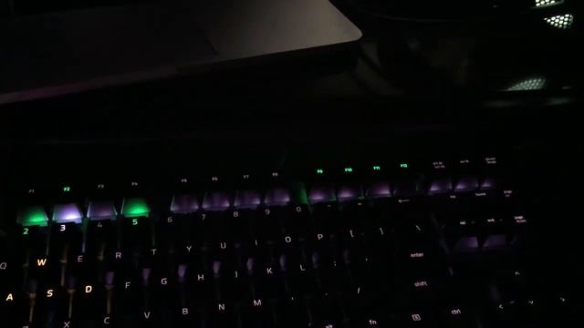 Software GameDog  | Teclado Razer Blackwidow X Chroma