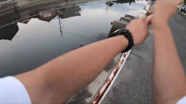 住宅地の河川で世界一スケールの小さなシーバス釣りに挑む смотреть онлайн