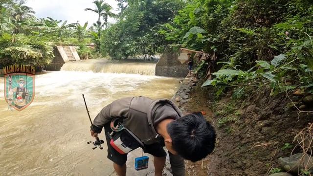 GANAS... ‼️ PLUNG DUUARRR CASTING HAMPALA DIMUSIM BANJIR SANGAT GACOR #castinghampala #hampala смотреть онлайн
