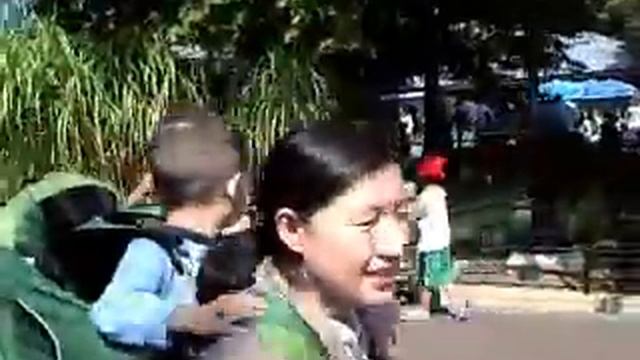 National Zoo 3 смотреть онлайн