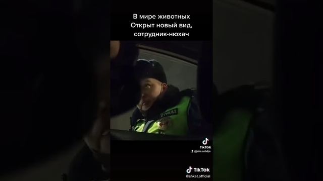 Чучуть не множко без стекла. #рекомендации #гибдд #рек смотреть онлайн