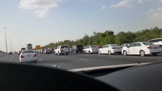 Dubai Safari Park Entry смотреть онлайн