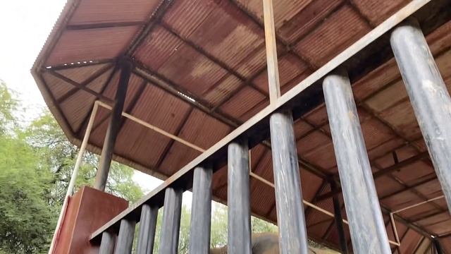 Safari Park Karachi ❤️Zoo visit смотреть онлайн
