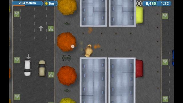 самая странная игра которую я видел в своей жизни