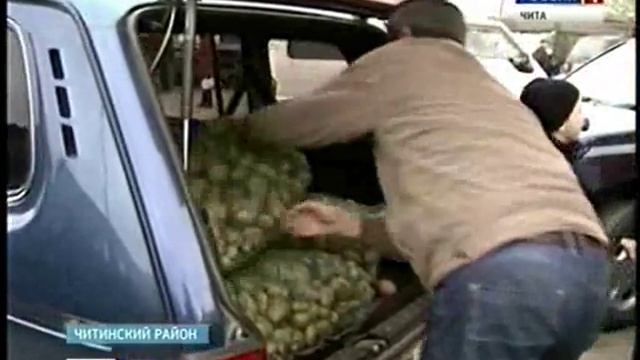 сельхоз ярмарка смотреть онлайн