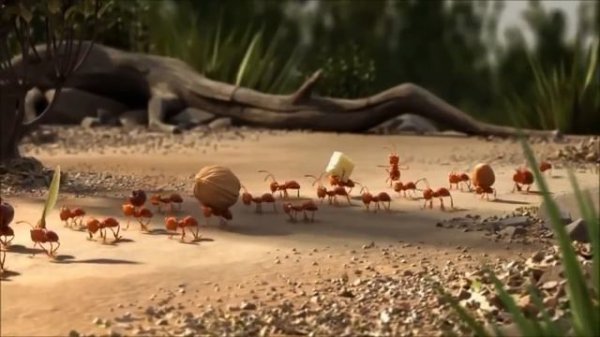 ROLLIN` SAFARI - what if animals were round?