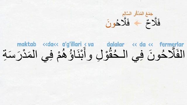 13-Dars 3-Qism  كتبهم - Ularning Kitoblari  Koplik ISMLAR  olmoshlar  Madina Arab tili