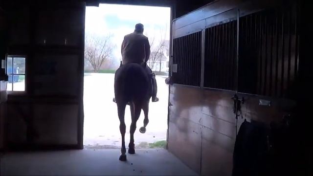 Brave Spirit working смотреть онлайн