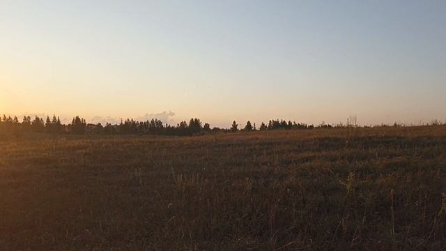 рыбалка 20 июля 2024г смотреть онлайн