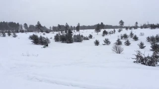 Perfect Trail Conditions смотреть онлайн