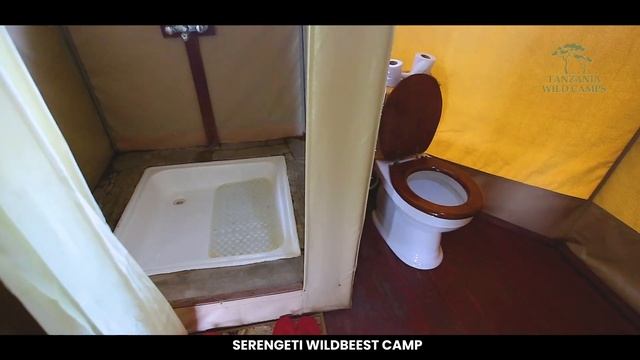 Welcome to the Serengeti Wildebeest Camp смотреть онлайн