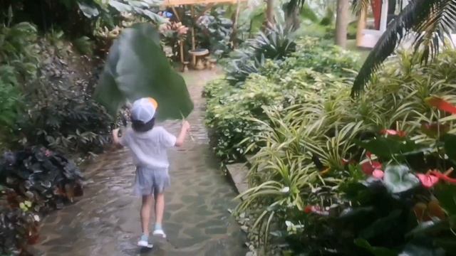 Cebu safari adventure park смотреть онлайн