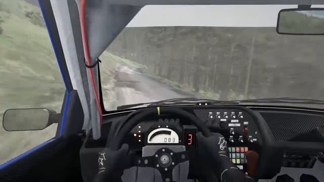 Dirt Rally First person PS4 Gameplay смотреть онлайн